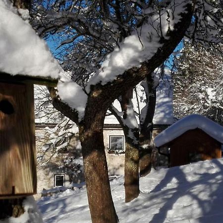 Ferienhaus Hirschnest Sankt Pankraz ภายนอก รูปภาพ