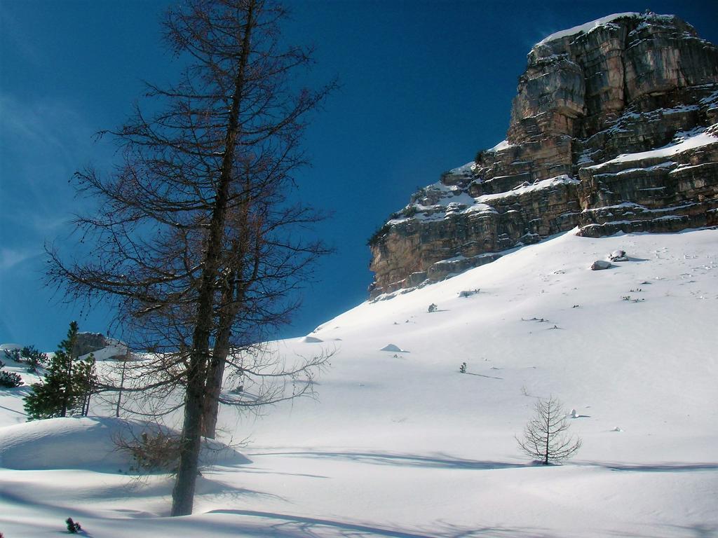 Ferienhaus Hirschnest Sankt Pankraz ภายนอก รูปภาพ