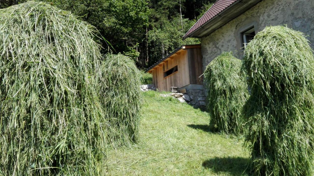 Ferienhaus Hirschnest Sankt Pankraz ภายนอก รูปภาพ