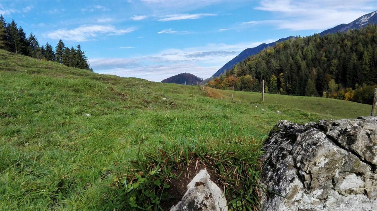 Ferienhaus Hirschnest Sankt Pankraz ภายนอก รูปภาพ