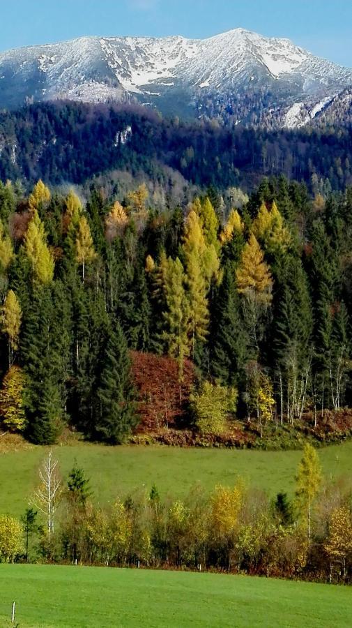 Ferienhaus Hirschnest Sankt Pankraz ภายนอก รูปภาพ